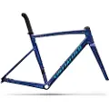Specialized Allez Sprint 2026 Landeveissykkelramme