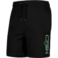 Hotspot titanium Hsd Shorts