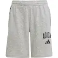 Adidas Seasonals Essentials Collegiate Typography Shorts