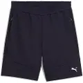 Puma Evostripe 8´´ Sports Shorts