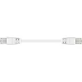 Sinox beslag Sinox - Nettverkskabel - RJ-45 (hann) til RJ-45 (hann) - 5 m - FTP - CAT 6 - med støvel, flat - hvit