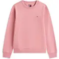 Tommy Hilfiger Dw0dw19959 Collegegenser