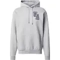 Under Armour Icon Fleece Graphic Hettegenser