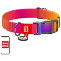 Waudog Nylonhalsbånd med QR-kode for gradient hund, oransje, størrelse XL