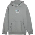 Puma BMW M Motorsport Essentials Fleece Hoodie Men, Collection, Medium Gray Heather, XL