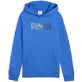 Puma Ess Logo Lab Hettegenser