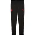 Puma AC Milan Training Pants Men, Sport, Black/Red, 3XL