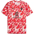 Puma AC Milan Pre-match Jersey Men, Sport, White/Red, L