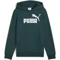 Puma Ess Nº 1 Logo Hettegenser