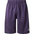 Adidas Originals Graphic Mesh Shorts