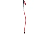 Swix World Cup Pro Dh Carbon Spaserstokker