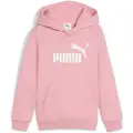 Puma Ess Nº 1 Logo Ps Hettegenser