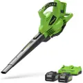 Greenworks Batteridrevet løvblåser Greenworks GD24X2BVK4X 2x24 V 2x4,0 Ah batteri.