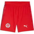 Puma FC St. Pauli 25/26 Shorts Men, Sport, Burnt Red/White, L