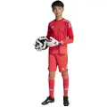 Adidas Tiro 25 Pro Keeper Shorts
