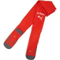 Puma FC St. Pauli 25/26 Socks Men, Clothing, Burnt Red/White, 39-42