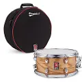 Premier Artist 14" x 6.5" Birch Snare Drum & Soft Case Antique Ash