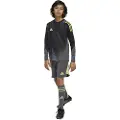 Adidas Tiro 25 Pro Keeper Shorts