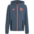 Adidas Fc Bayern Tiro 25/26 Competition Vis Tech Reise Junior Hettegenser