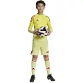 Adidas Tiro 25 Pro Keeper Shorts