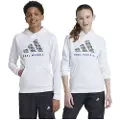Adidas Real Madrid Hettegenser