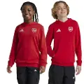 Adidas Arsenal Fc Hettegenser