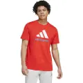 Adidas Fc Bayern Seasonal Graphic Kortarmet T-skjorte
