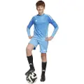 Adidas Tiro 25 Pro Keeper Shorts