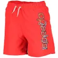Speedo Graphic Leisure 15´´ Badebukse