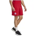 Adidas Fc Bayern Munich 24/25 Dna Shorts