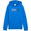 Puma Ess Logo Lab Hettegenser