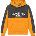 Quiksilver Knowledge Area Kids Hettegenser brun