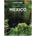 Lonely Planet Experience Mexico
