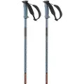 Salomon Polar Pro Spaserstokker
