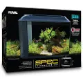Fluval Spec 60l Akvarium