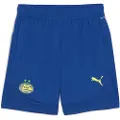 Puma Psv Eindhoven 24/25 Trening Shorts