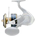 Daiwa Saltiga 2020 Ekstraspole