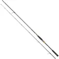 Daiwa Morethan Branzino Expert Ags Spinnestang