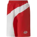 Puma Basketball Clyde Shorts