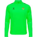 Hummel Real Betis Balompié Pro25 24/25 Halv Glidelås Genser
