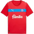 Puma Holstein Kiel 25/26 Away Jersey Men, Sport, Red/Ignite Blue/White, XL