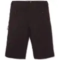 Etnies Big Ride Shorts