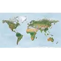 Awesome Maps Surfkart Green Edition