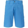 Dickies Duck Shorts