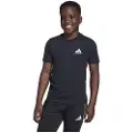Adidas Messi Icon Graphic Kortarmet T-skjorte