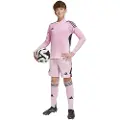 Adidas Tiro 25 Pro Keeper Shorts