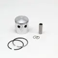 Italkit Puch D 46.99 D 2s -gilardoni Stempelsett