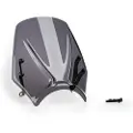 Puig New Generation Sport Triumph Trident 660 2025 Frontrute