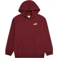 Puma Ess Small Nº 1 Logo Relaxed Hettegenser