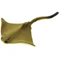 Safari Ltd Cownose Rays Good Luck Minis Figur
